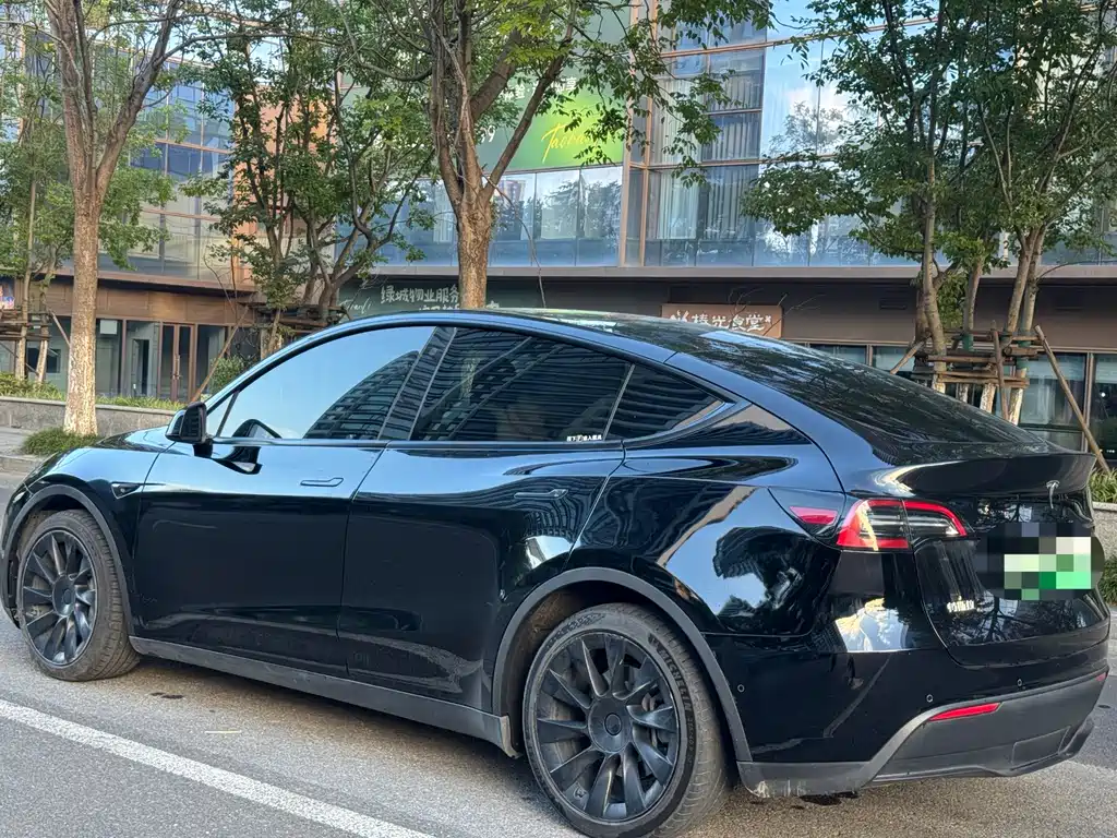 Tesla Model Y — миниатюра 3