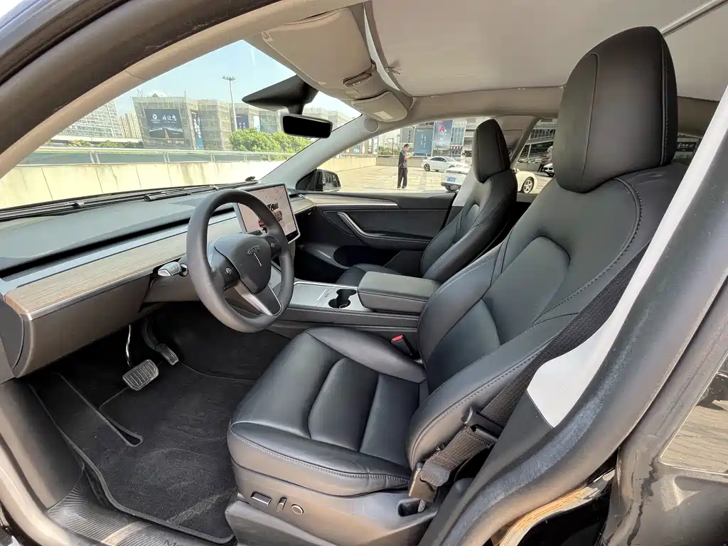 Tesla Model Y — миниатюра 5