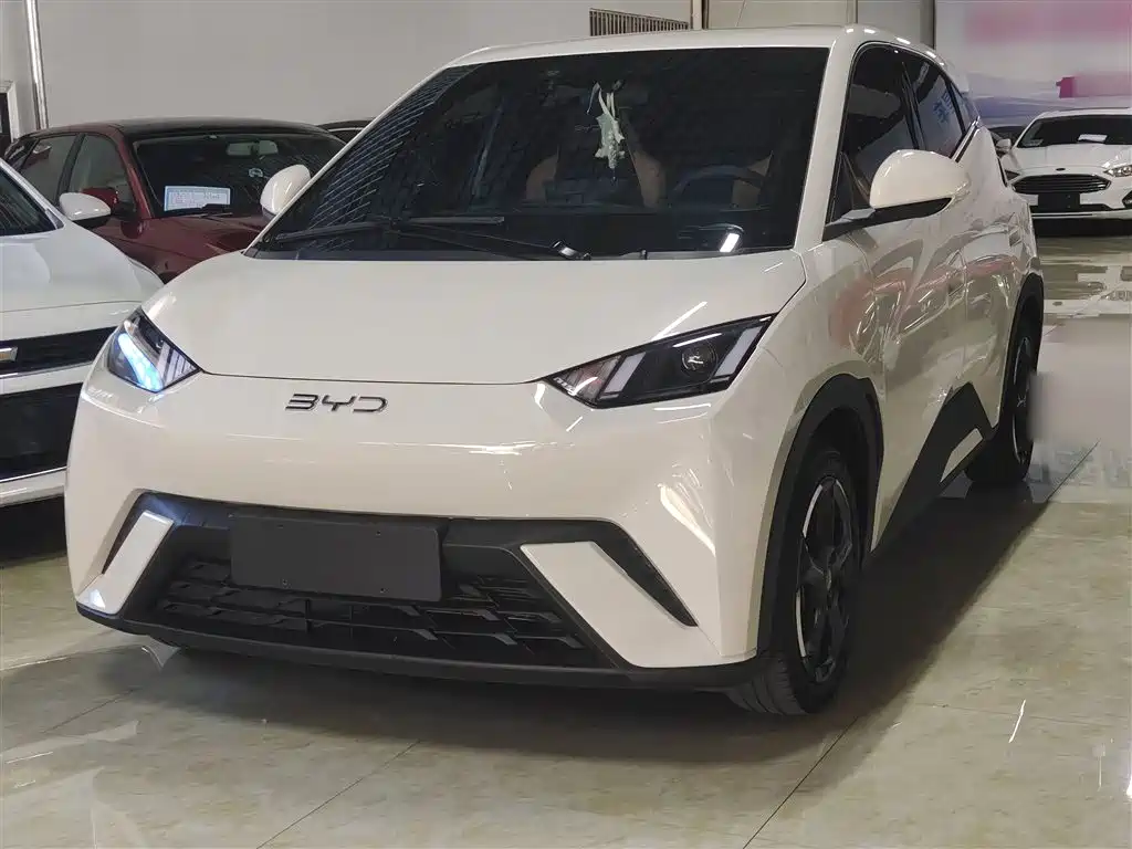 BYD Seagull 2024 Glory Edition 405km Fly Fly Edition