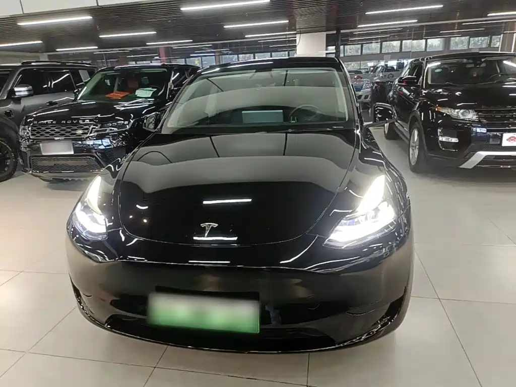 Tesla Model Y — миниатюра 3