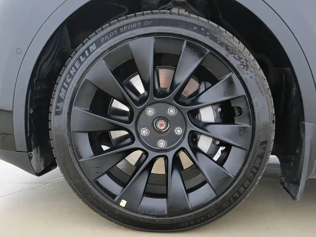 Tesla Model Y — миниатюра 9