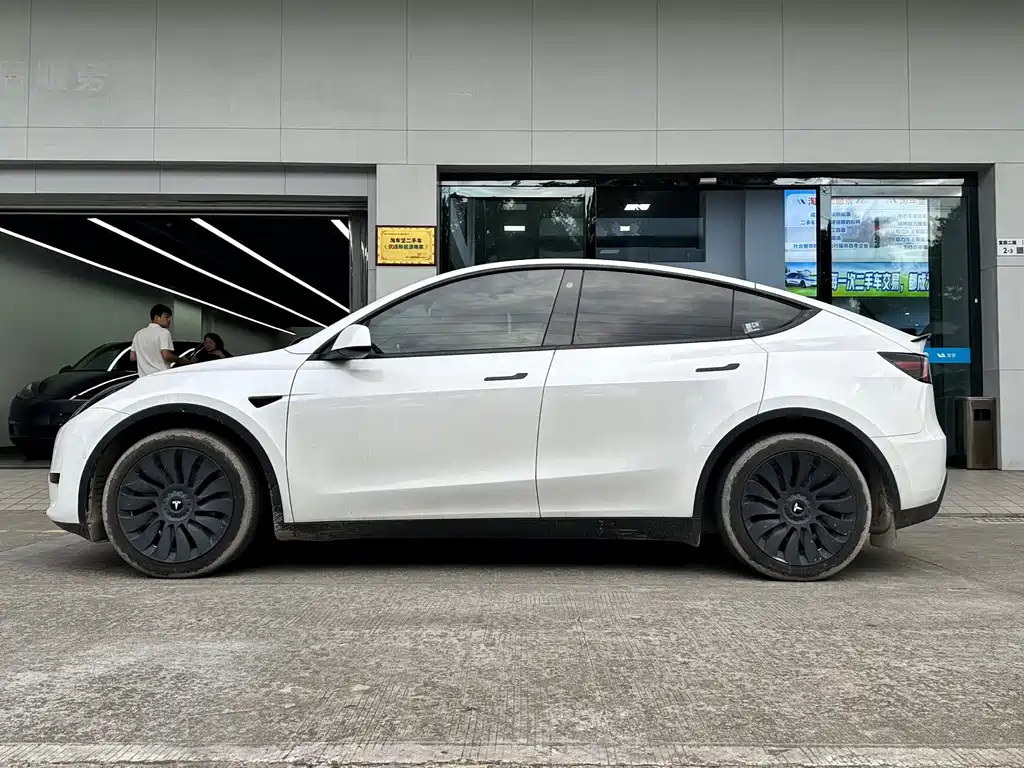 Tesla Model Y — миниатюра 2