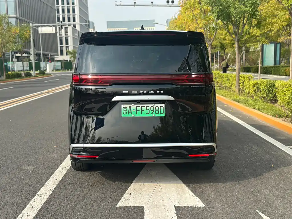 Denza Denza D9 — миниатюра 11