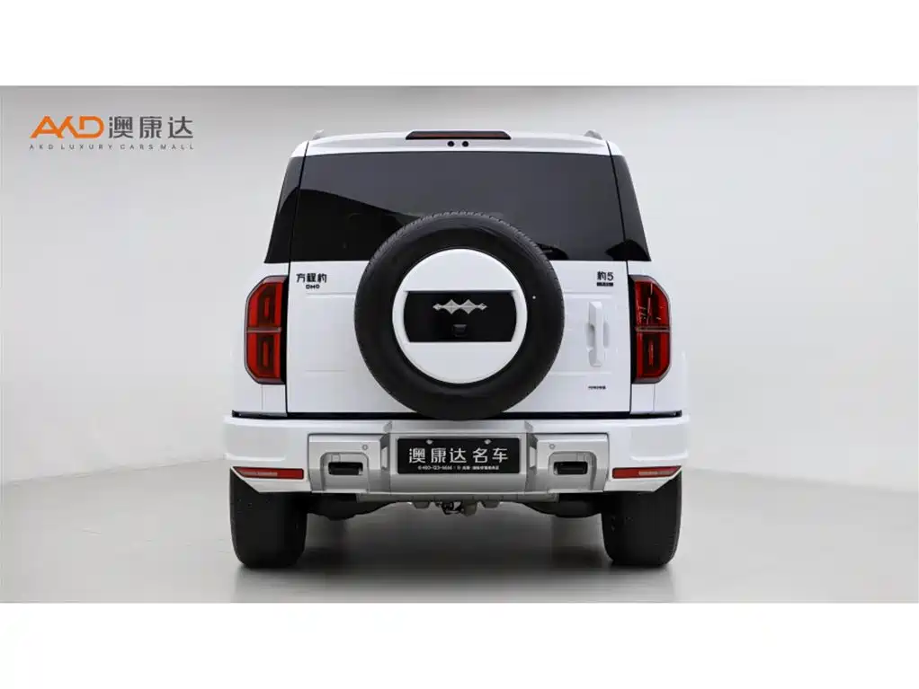 FANG CHENG BAO LEOPARD 5