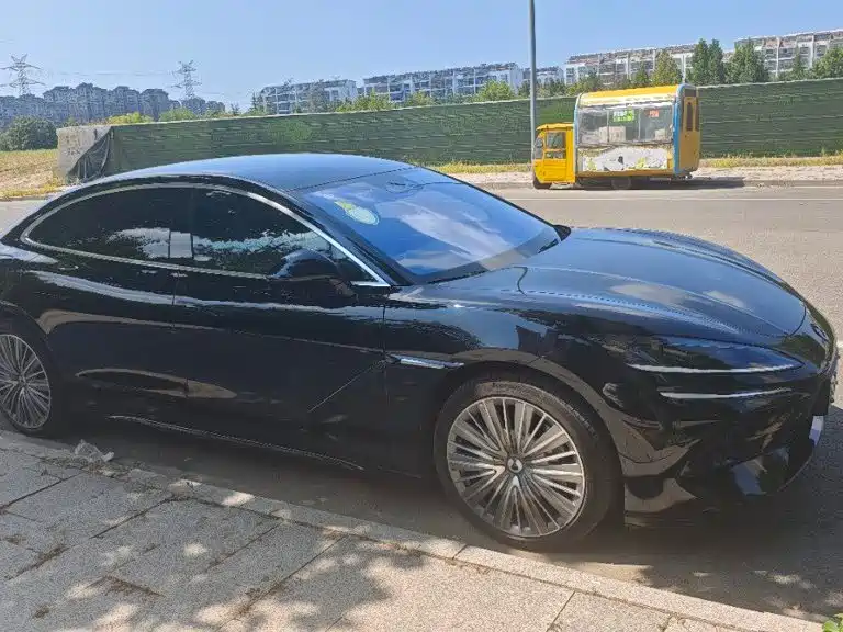 Denza Denza Z9 — миниатюра 7