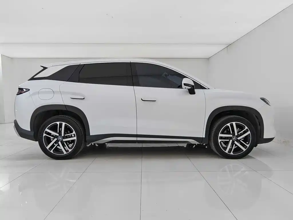 BYD Song L DM-i L DM-i 2024 112km Lead