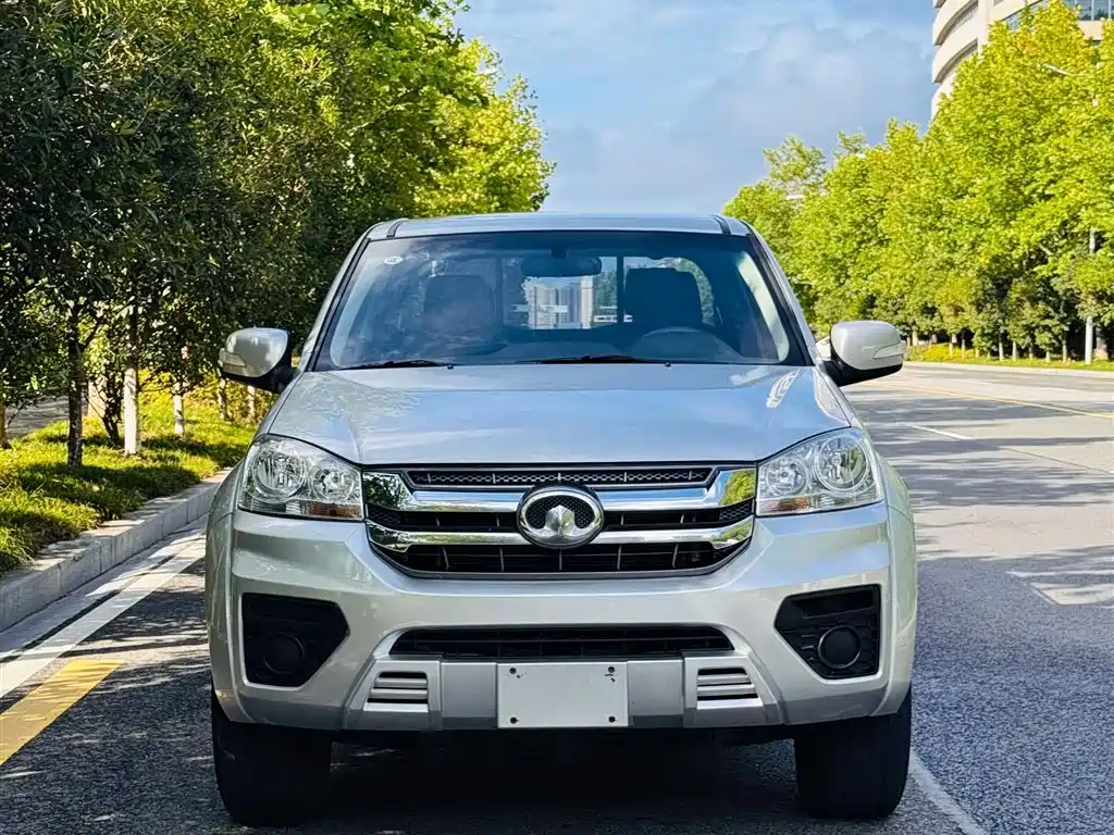 GREAT WALL FENGJUN 5