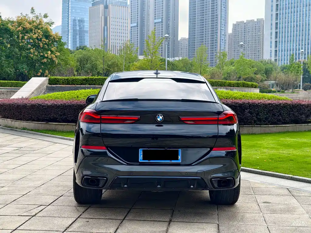 BMW X6 — миниатюра 19