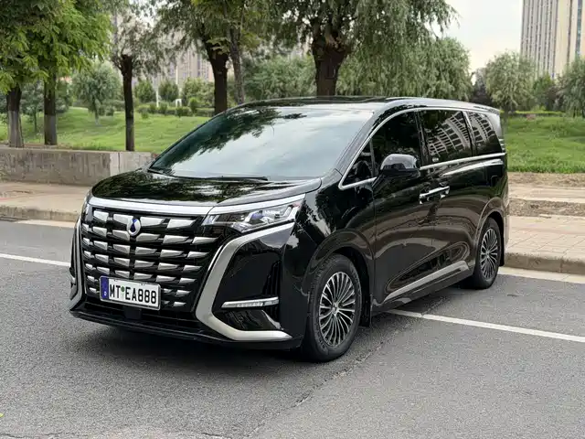 Denza D9