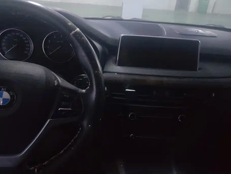 BMW X5 (Import) — миниатюра 12