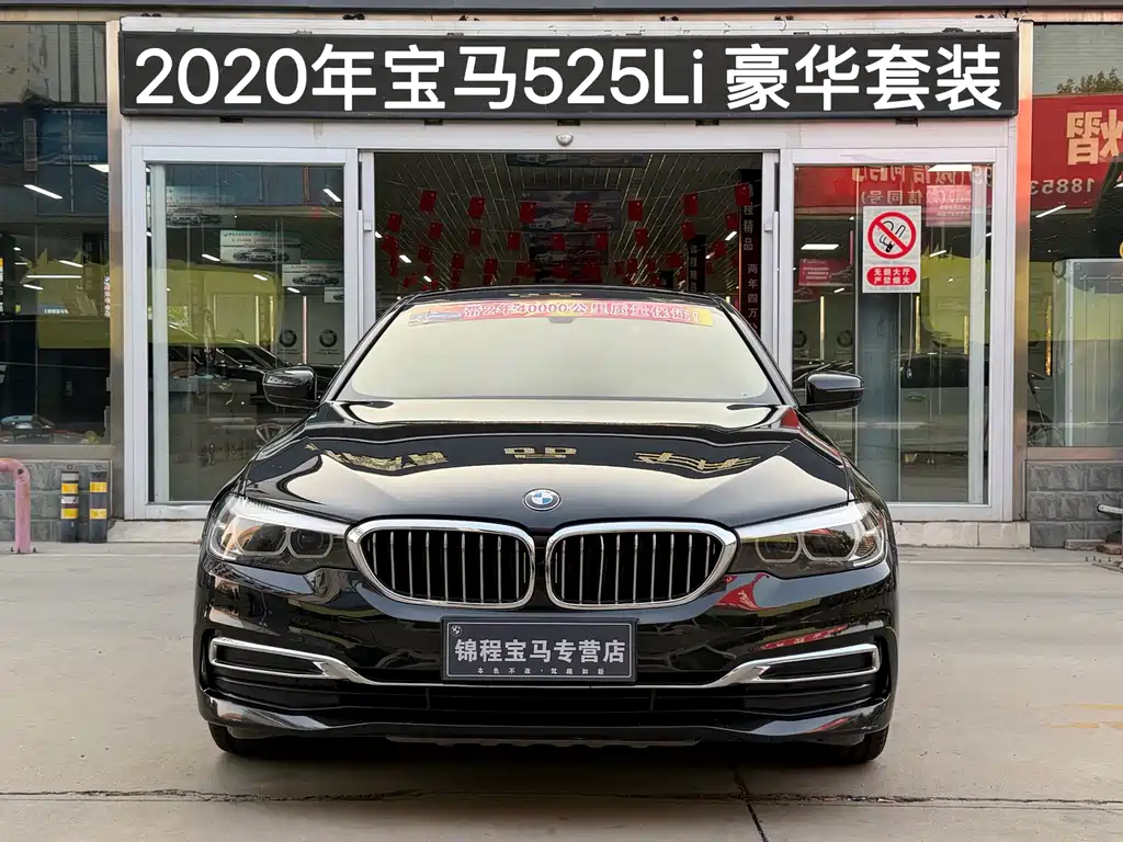 BMW 5 Series — миниатюра 3