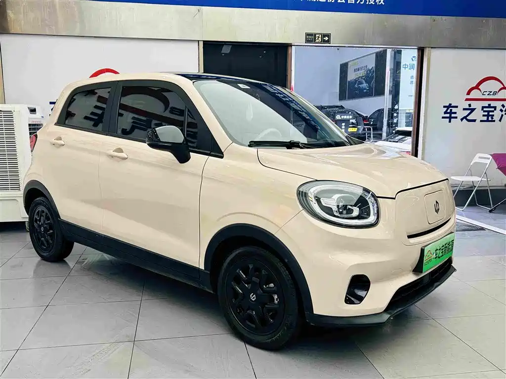 Leapmotor T03 2023 310