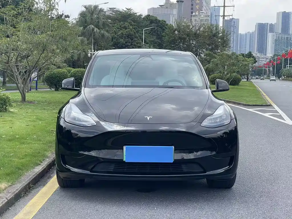 Tesla Model Y — миниатюра 2