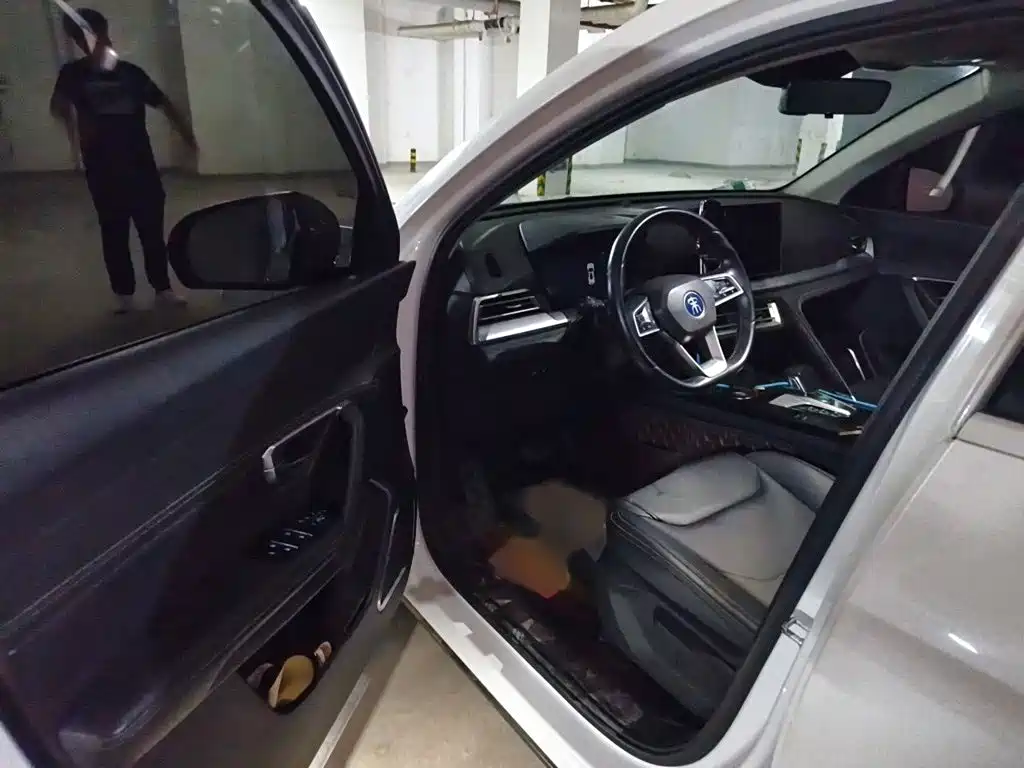 BYD Pro — миниатюра 14