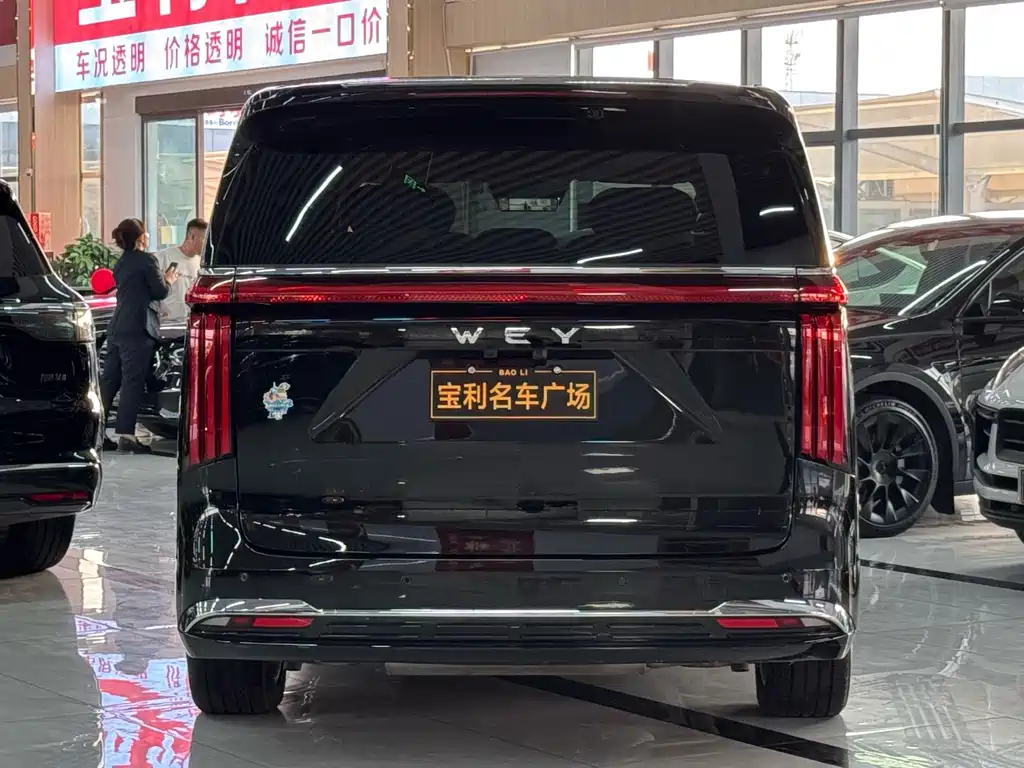 Wey Wey Gaoshan New Energy — миниатюра 23