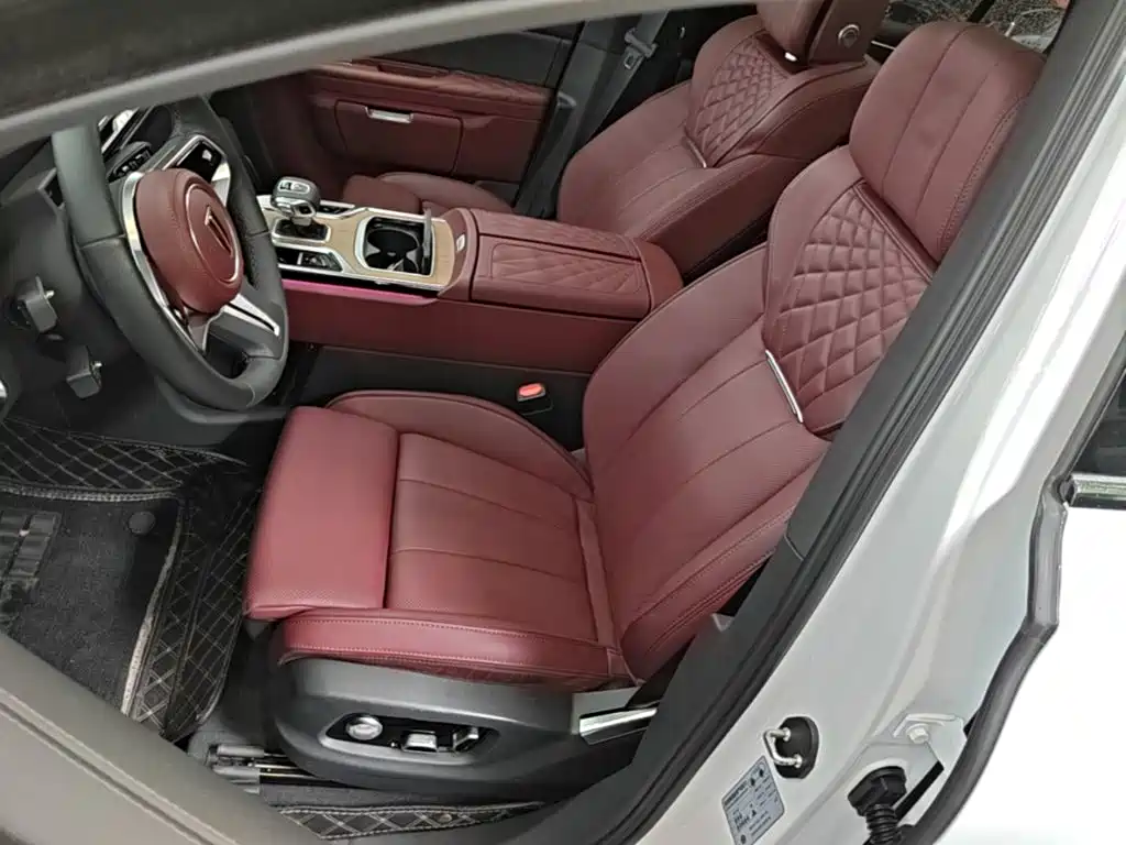 Hongqi Hongqi E-HS9 — миниатюра 15