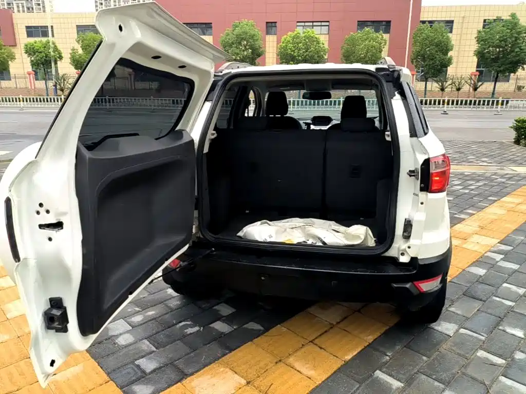 Ford Ecosport — миниатюра 19