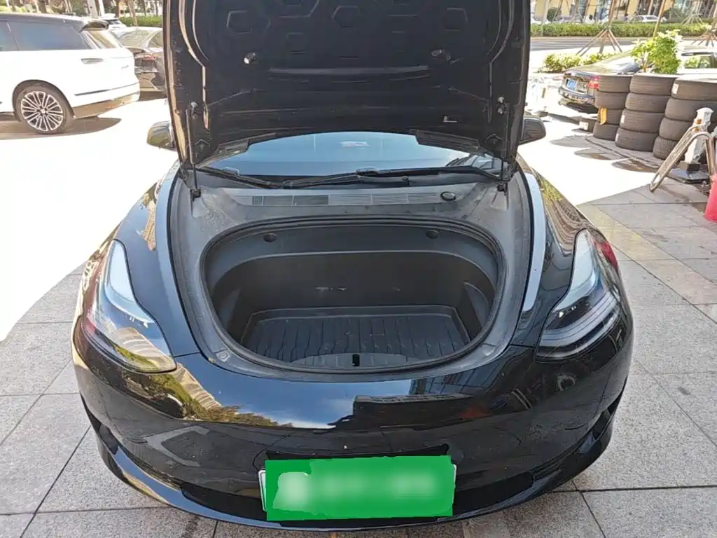 Tesla Model 3 — миниатюра 20