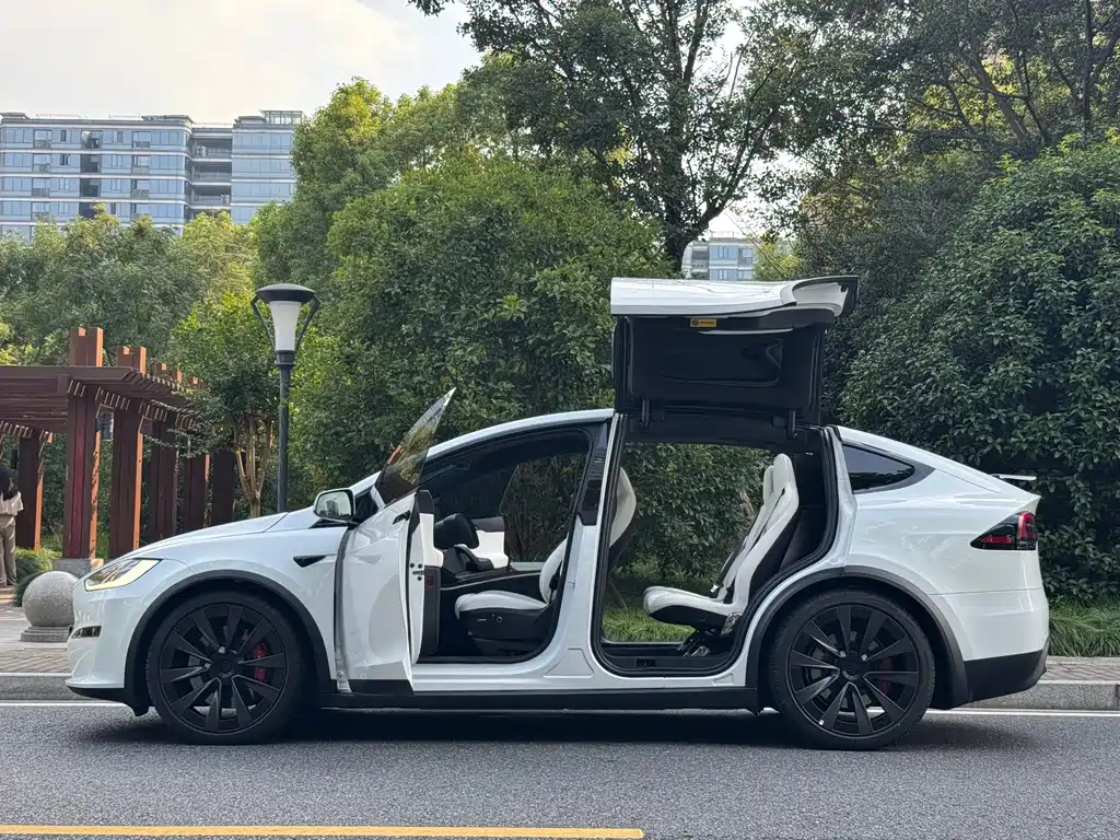 Tesla Model X — миниатюра 6