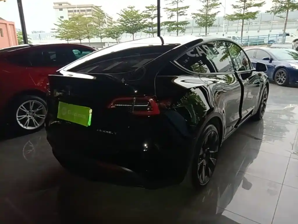 Tesla Model Y — миниатюра 7