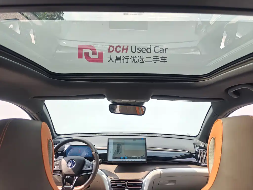 BYD Pro New Energy — миниатюра 17