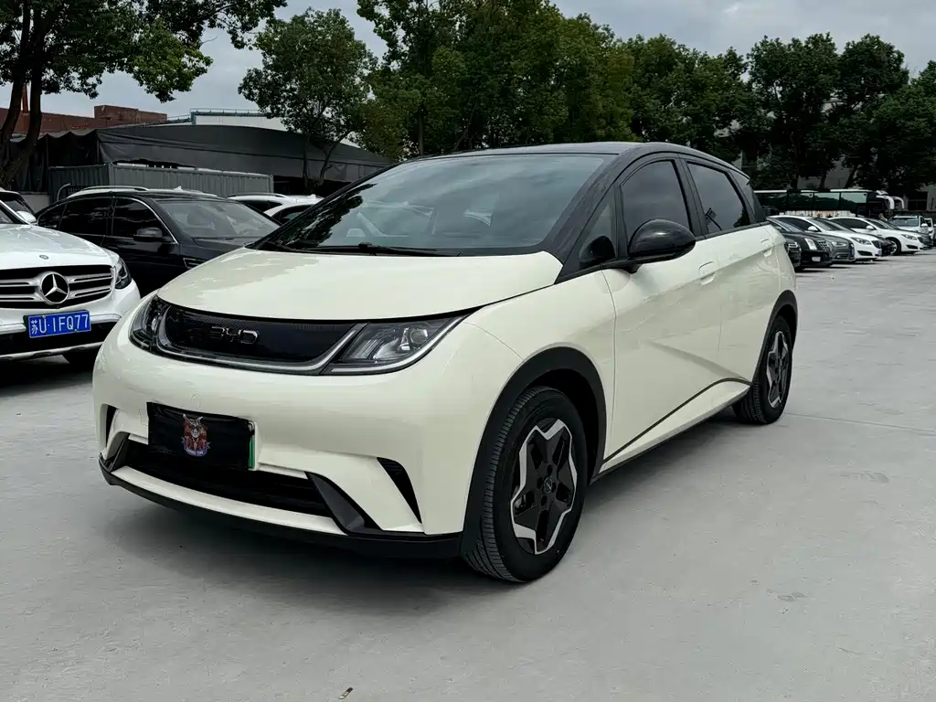 BYD Dolphin