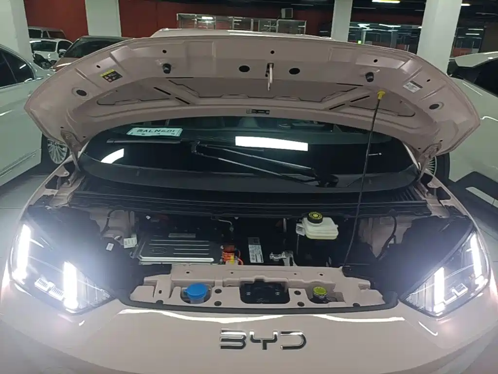 BYD Seagull — миниатюра 20