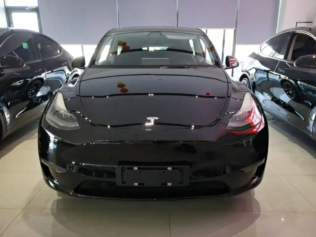 Tesla Model Y — миниатюра 3