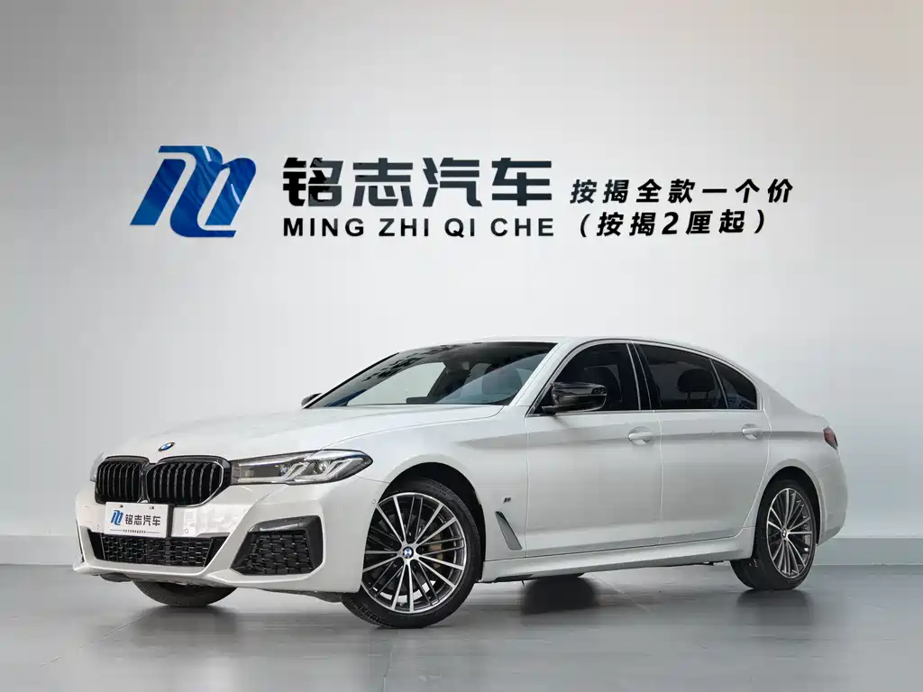 BMW 5 Series 530Li Leading Type M Sport Package, фото 3