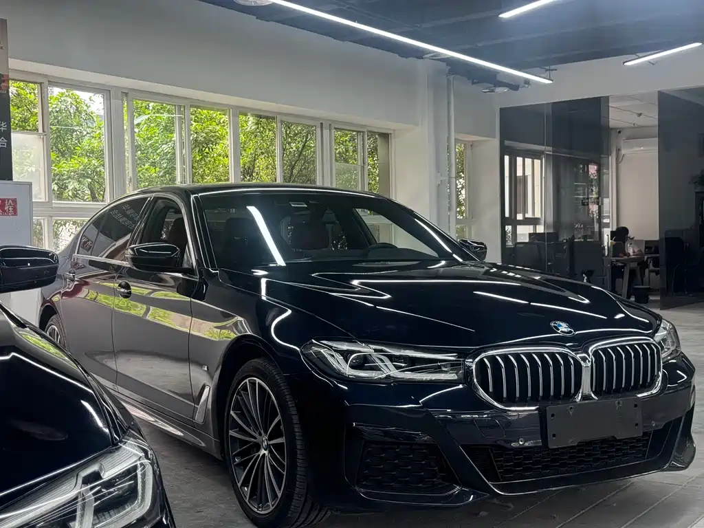BMW 5 Series 5 2021 530Li xDrive M Sport
