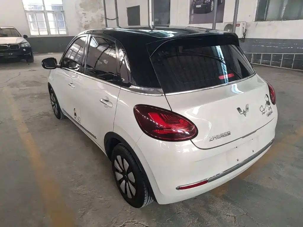 Wuling Binguo 2023 333km Enjoy +