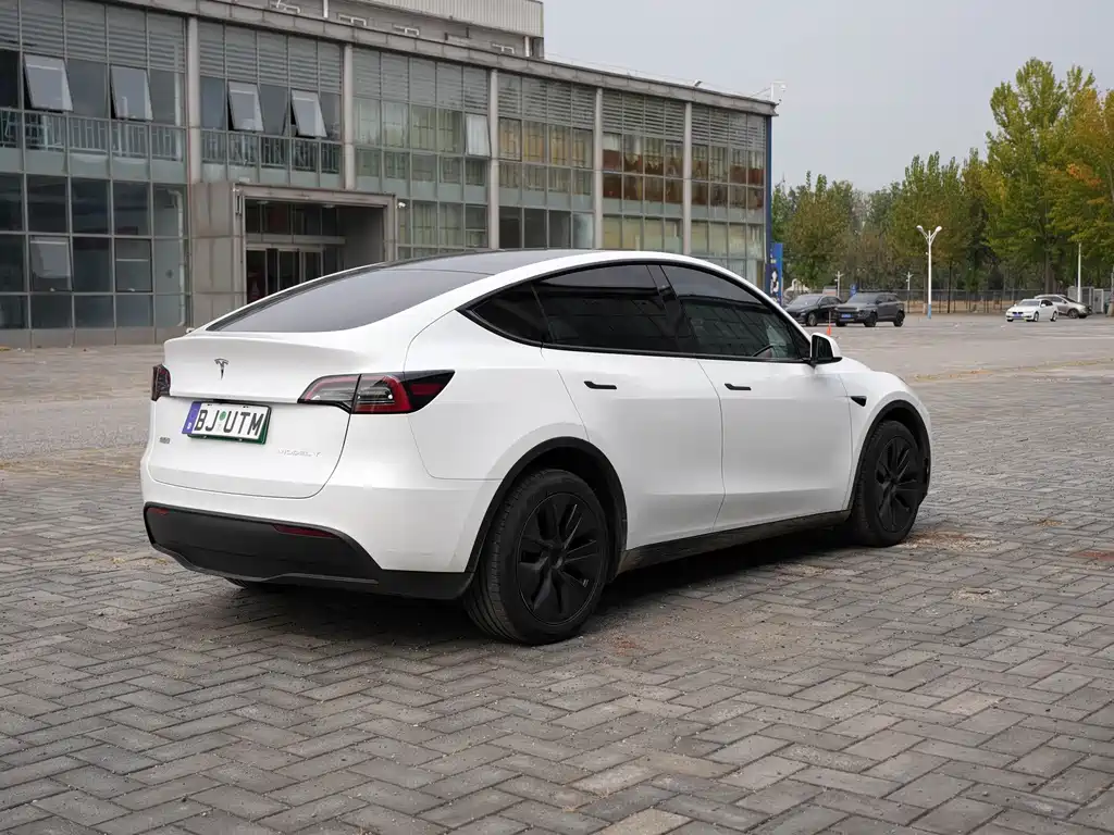 Tesla Model Y — миниатюра 5