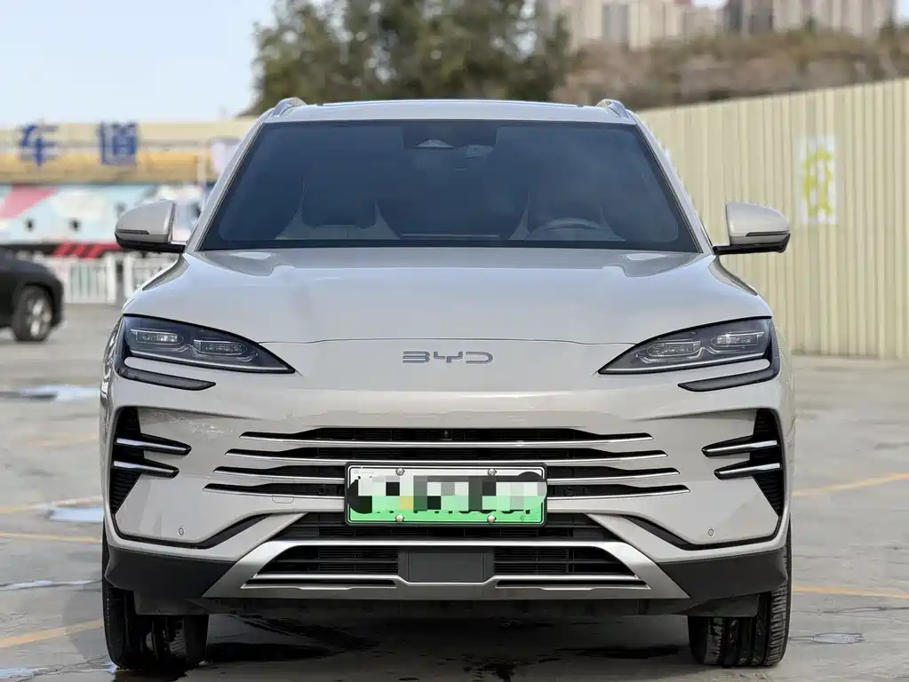 BYD PLUS New Energy — миниатюра 2