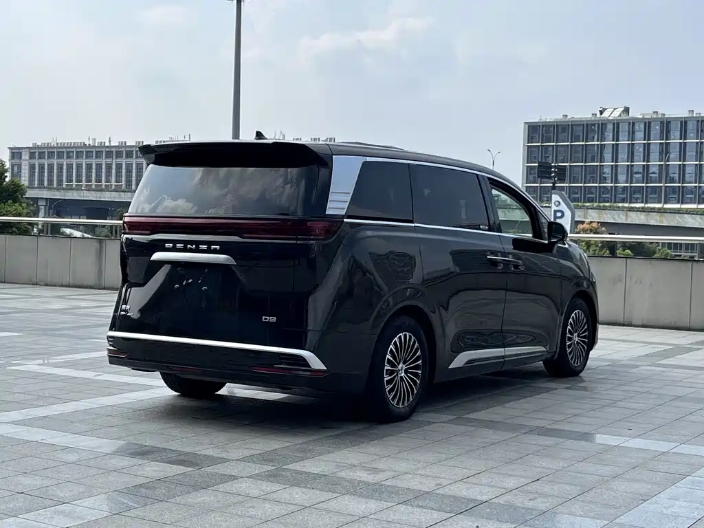 Denza Denza D9 — миниатюра 17