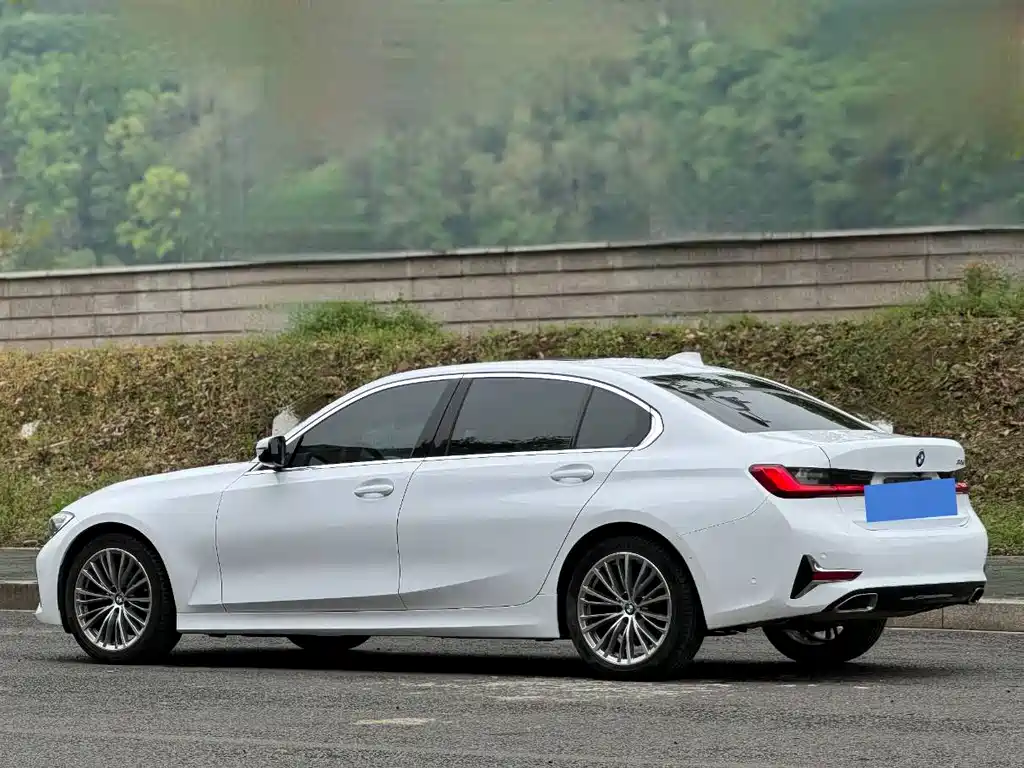 BMW 3 Series 3 2020 325Li