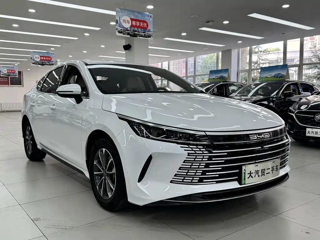 BYD Destroyer 05 — миниатюра 3