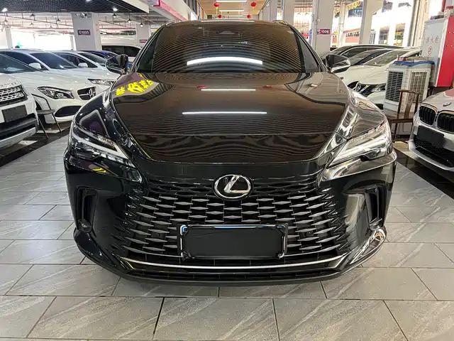 2025 Lexus RX