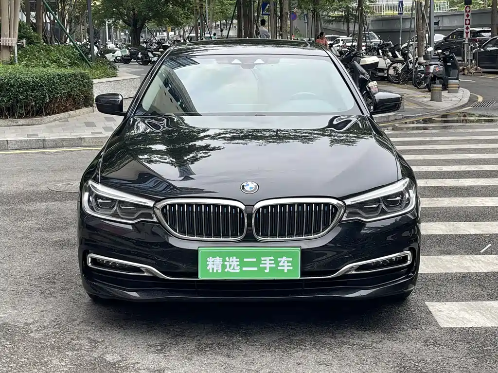 BMW 5 Series 5 2019 530Le Luxury