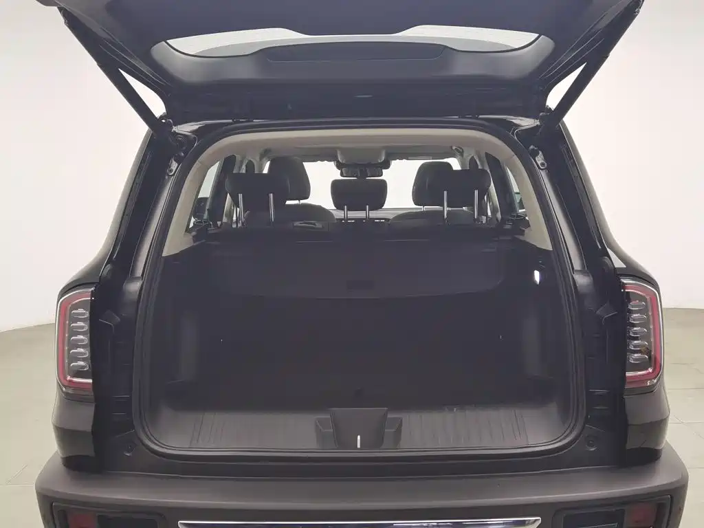 Haval Big Dog — миниатюра 16