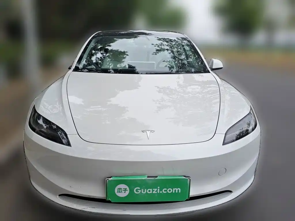 Tesla Model 3 — миниатюра 3
