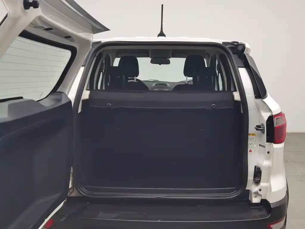 Ford Ecosport — миниатюра 16