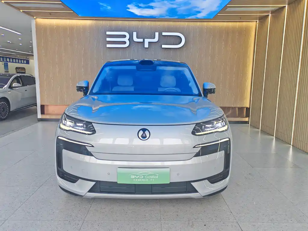 Denza Denza N9 — миниатюра 2