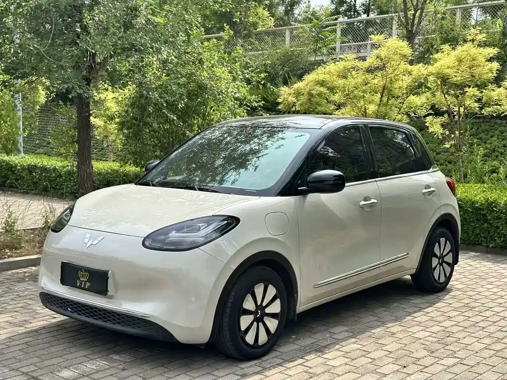 Wuling Binguo 2023 333km Delight +
