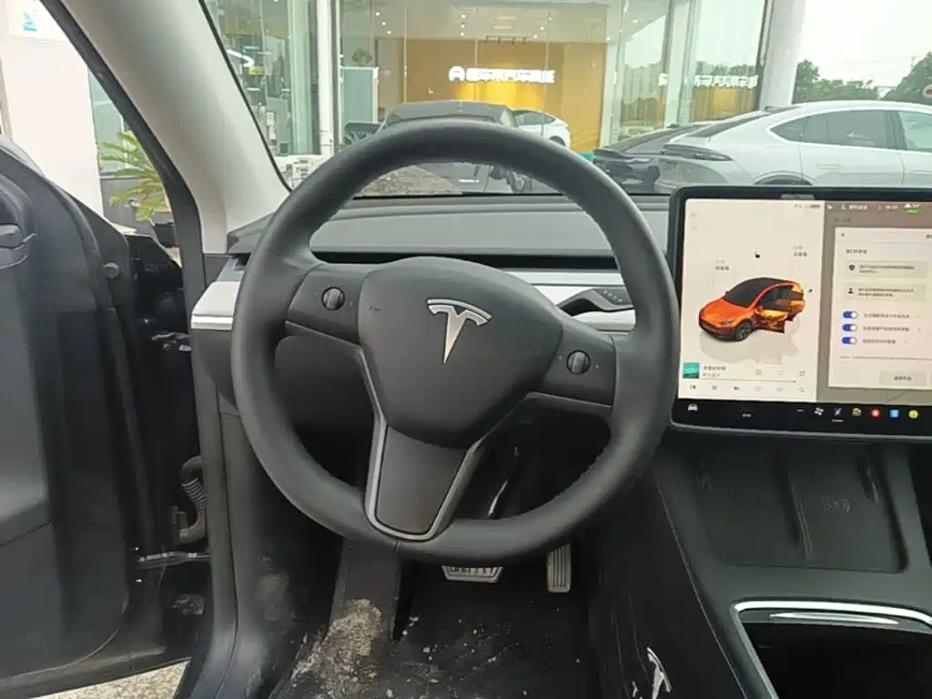 Tesla Model Y — миниатюра 11