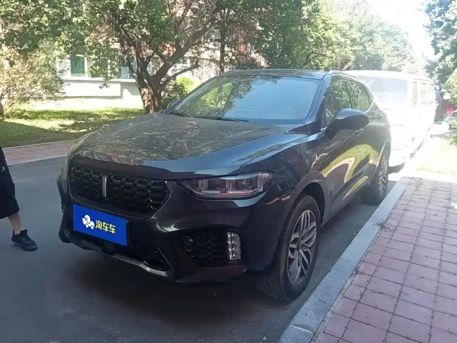 Wey Wey VV5