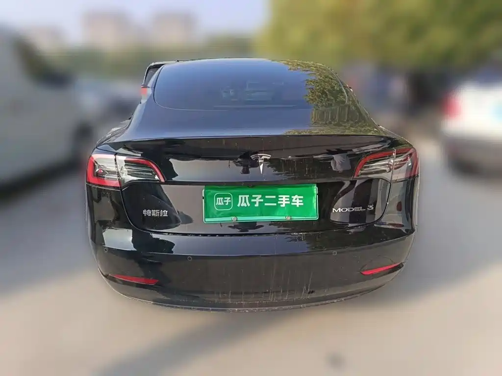 Tesla Model 3 — миниатюра 5