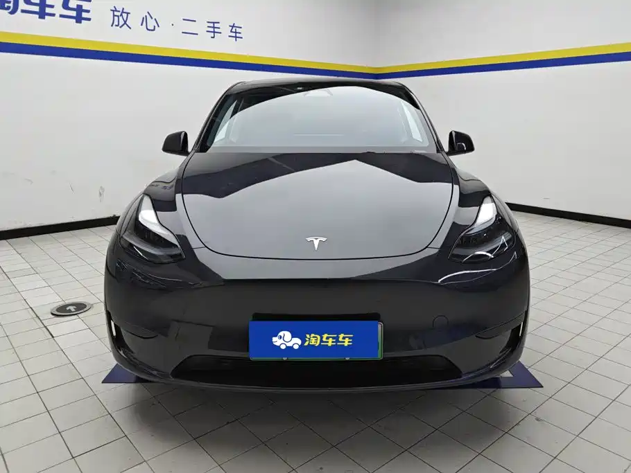 Tesla Model Y — миниатюра 2