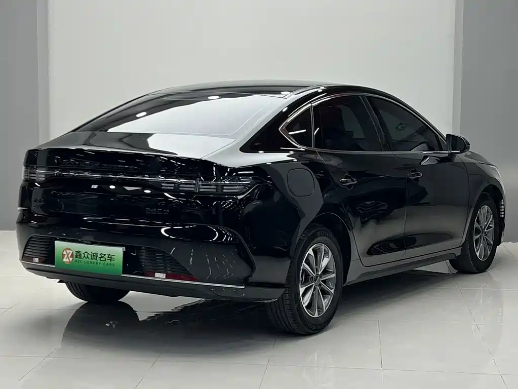 BYD Destroyer 05 — миниатюра 15