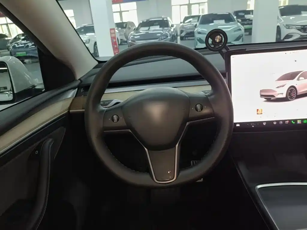 Tesla Model Y — миниатюра 11