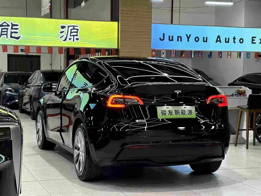 Tesla Model Y — миниатюра 12